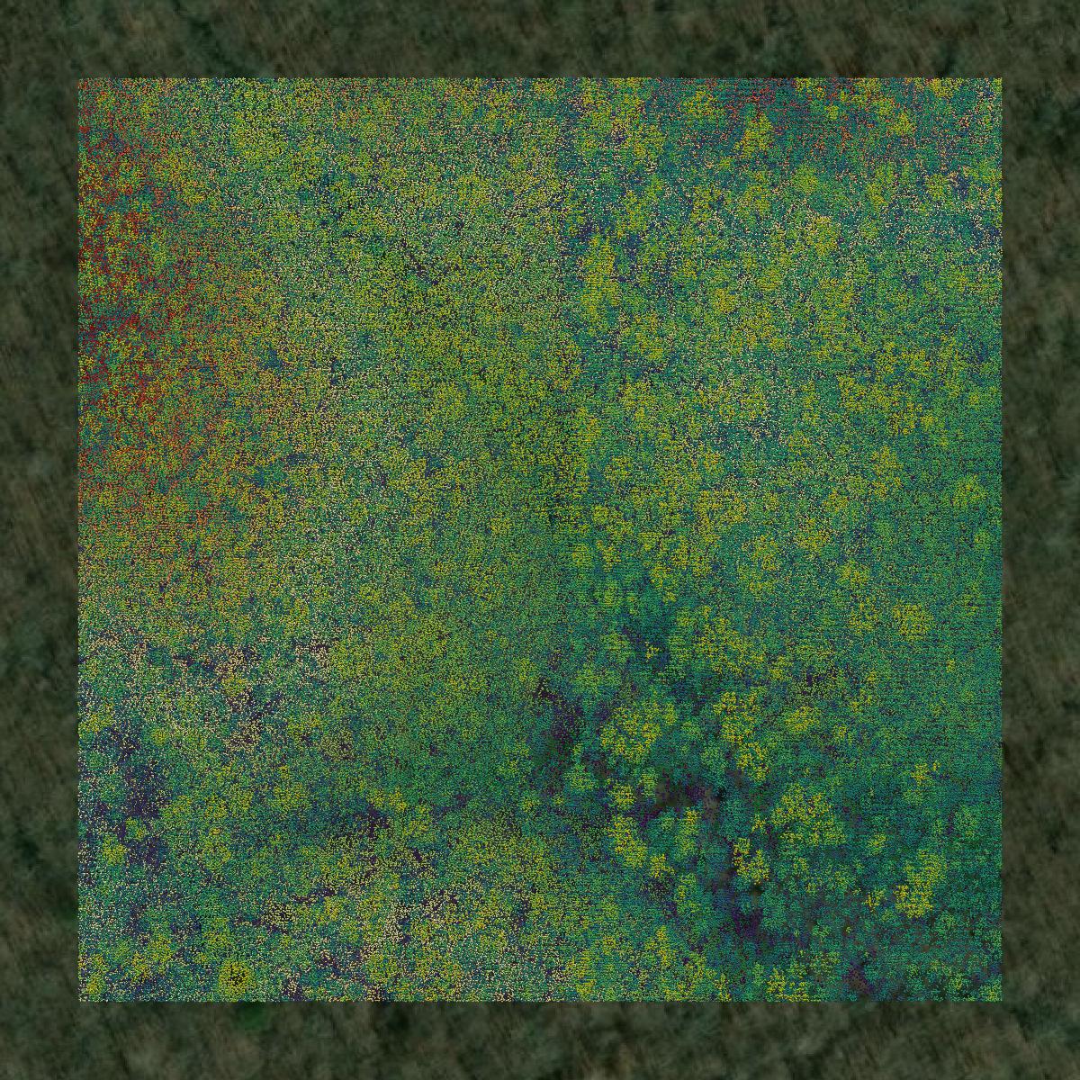 This image shows a LiDAR point cloud in Moore County created using GIS data in Equator.