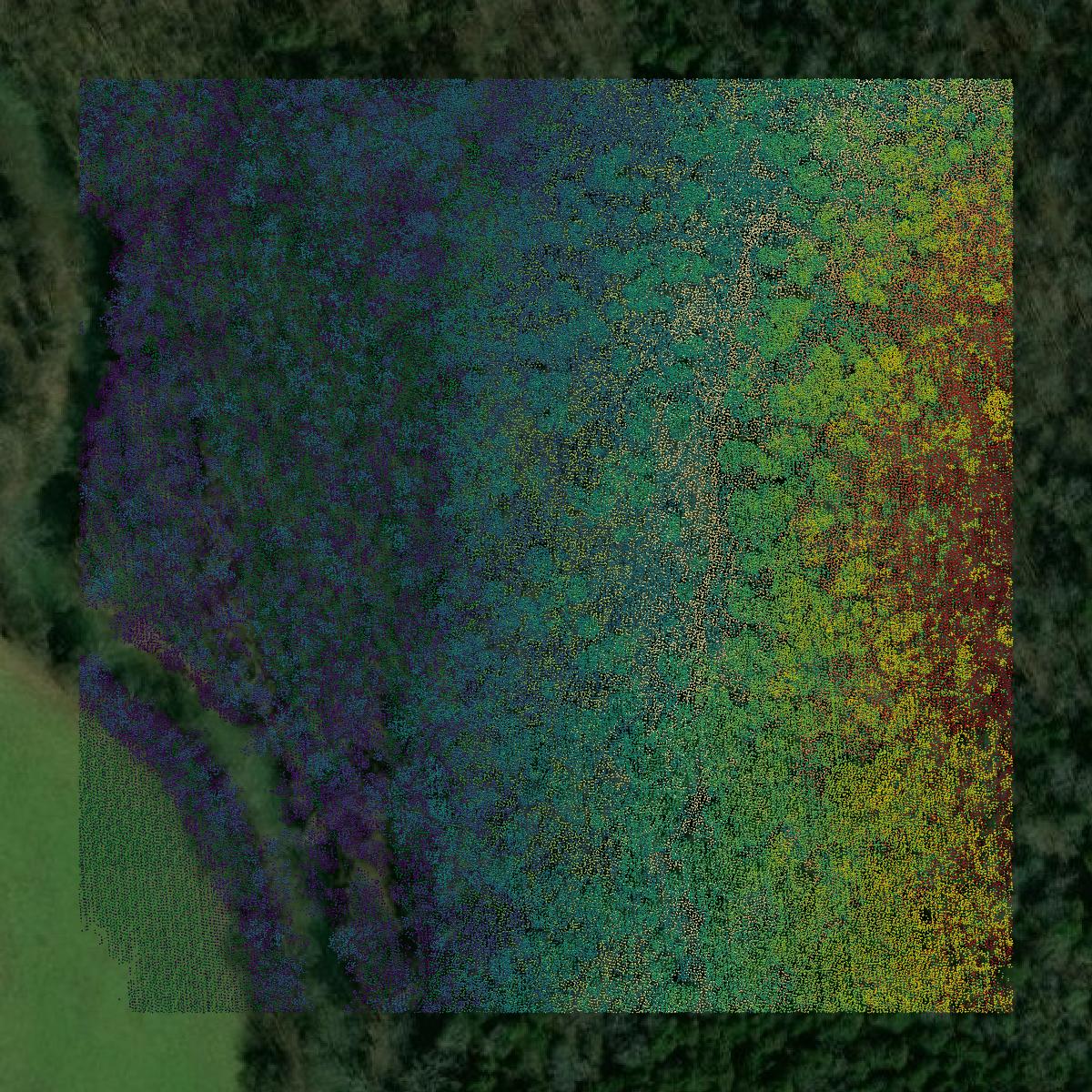 This image shows a LiDAR point cloud in Moore County created using GIS data in Equator.