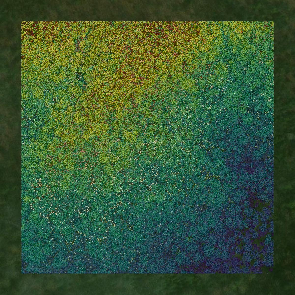 This image shows a LiDAR point cloud in Morgan County created using GIS data in Equator.