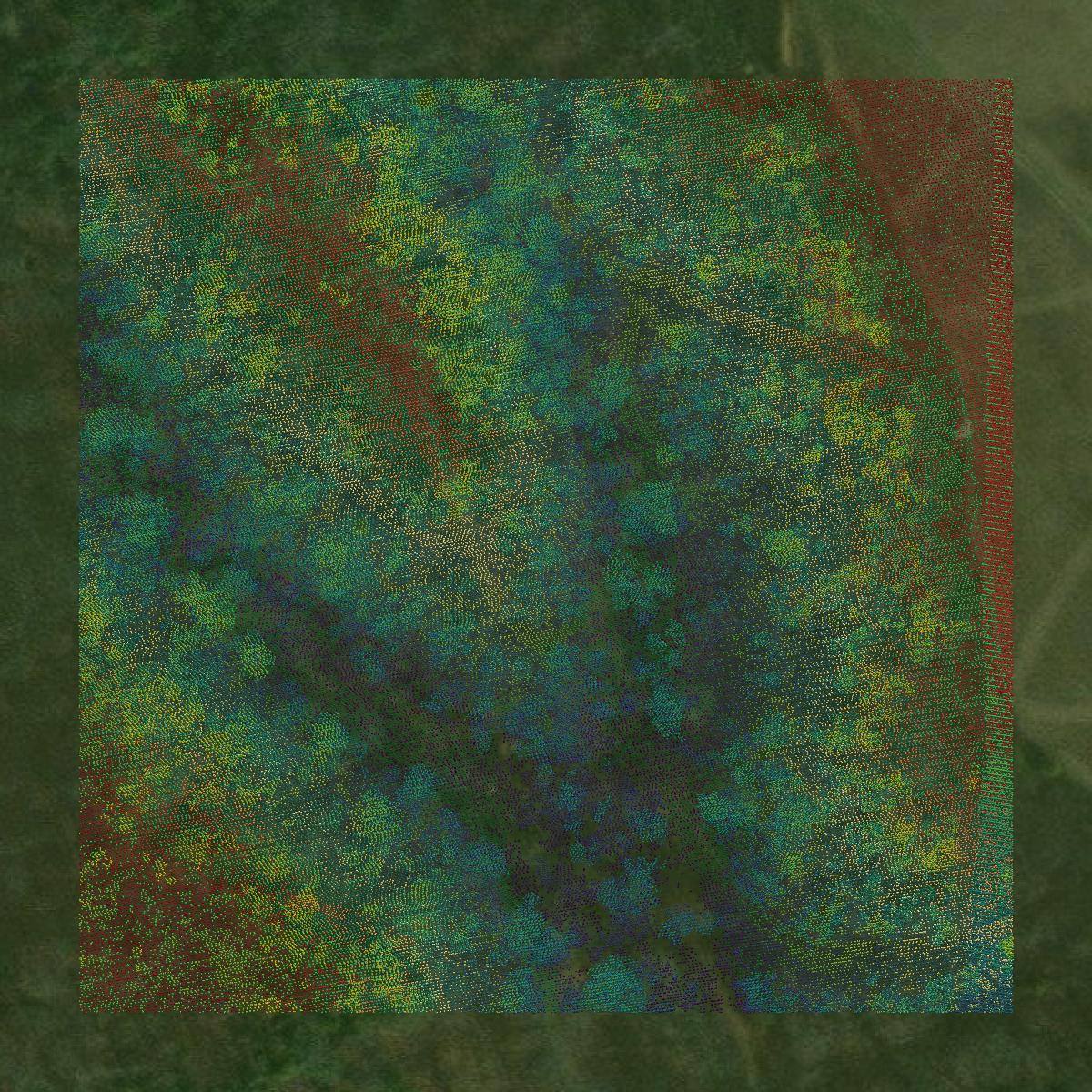 This image shows a LiDAR point cloud in Morgan County created using GIS data in Equator.