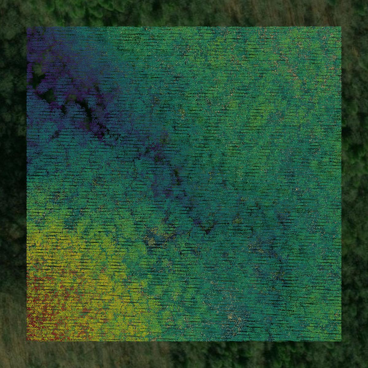 This image shows a LiDAR point cloud in Overton County created using GIS data in Equator.