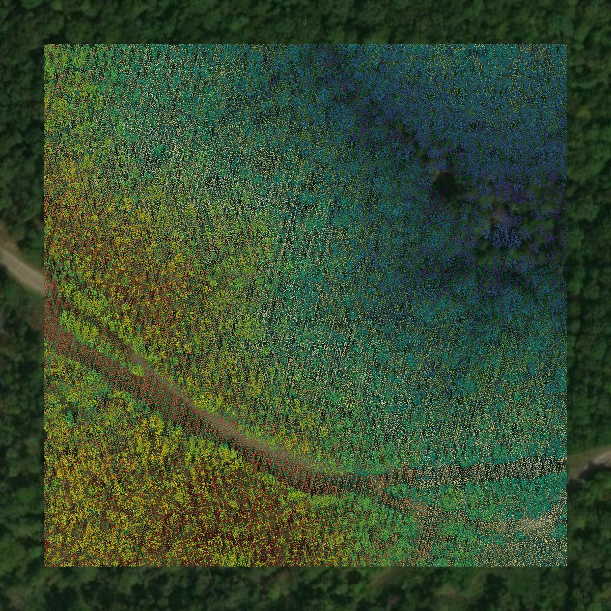 This image shows a LiDAR point cloud in Perry County created using GIS data in Equator.