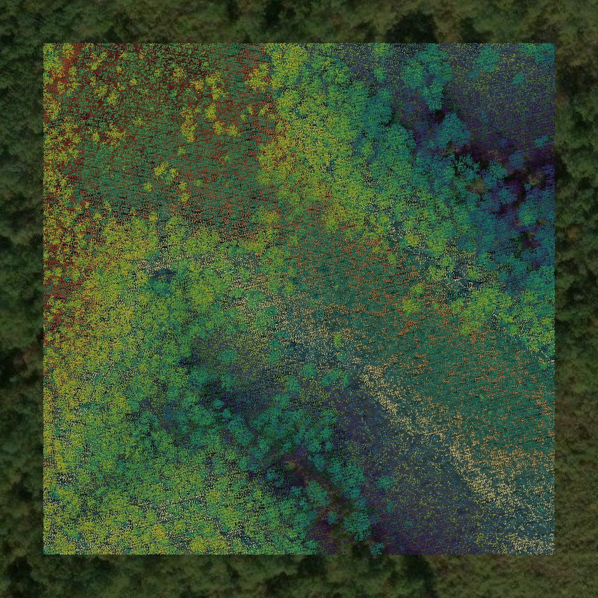 This image shows a LiDAR point cloud in Pickett County created using GIS data in Equator.