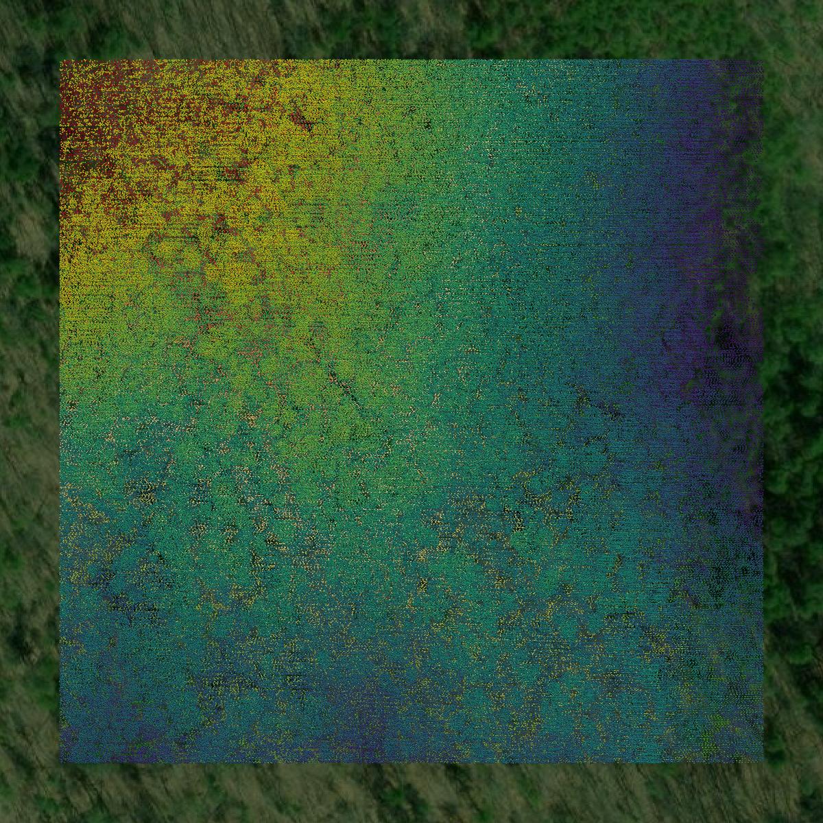 This image shows a LiDAR point cloud in Polk County created using GIS data in Equator.