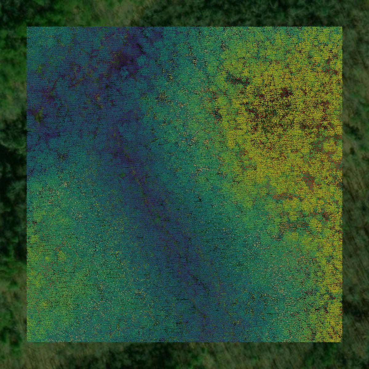This image shows a LiDAR point cloud in Polk County created using GIS data in Equator.