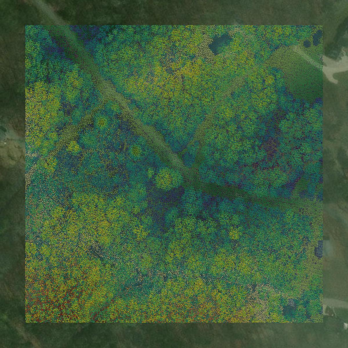 This image shows a LiDAR point cloud in Rhea County created using GIS data in Equator.