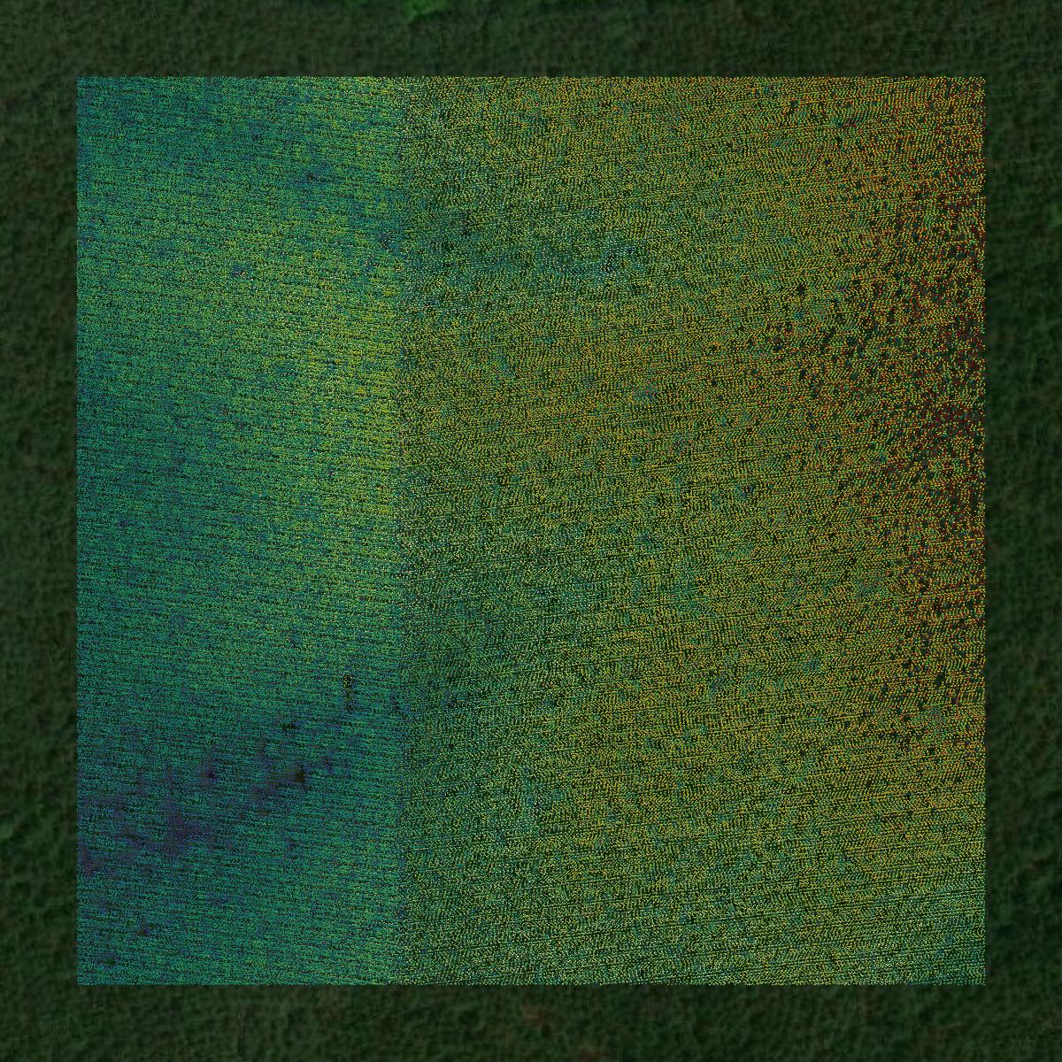 This image shows a LiDAR point cloud in Rhea County created using GIS data in Equator.