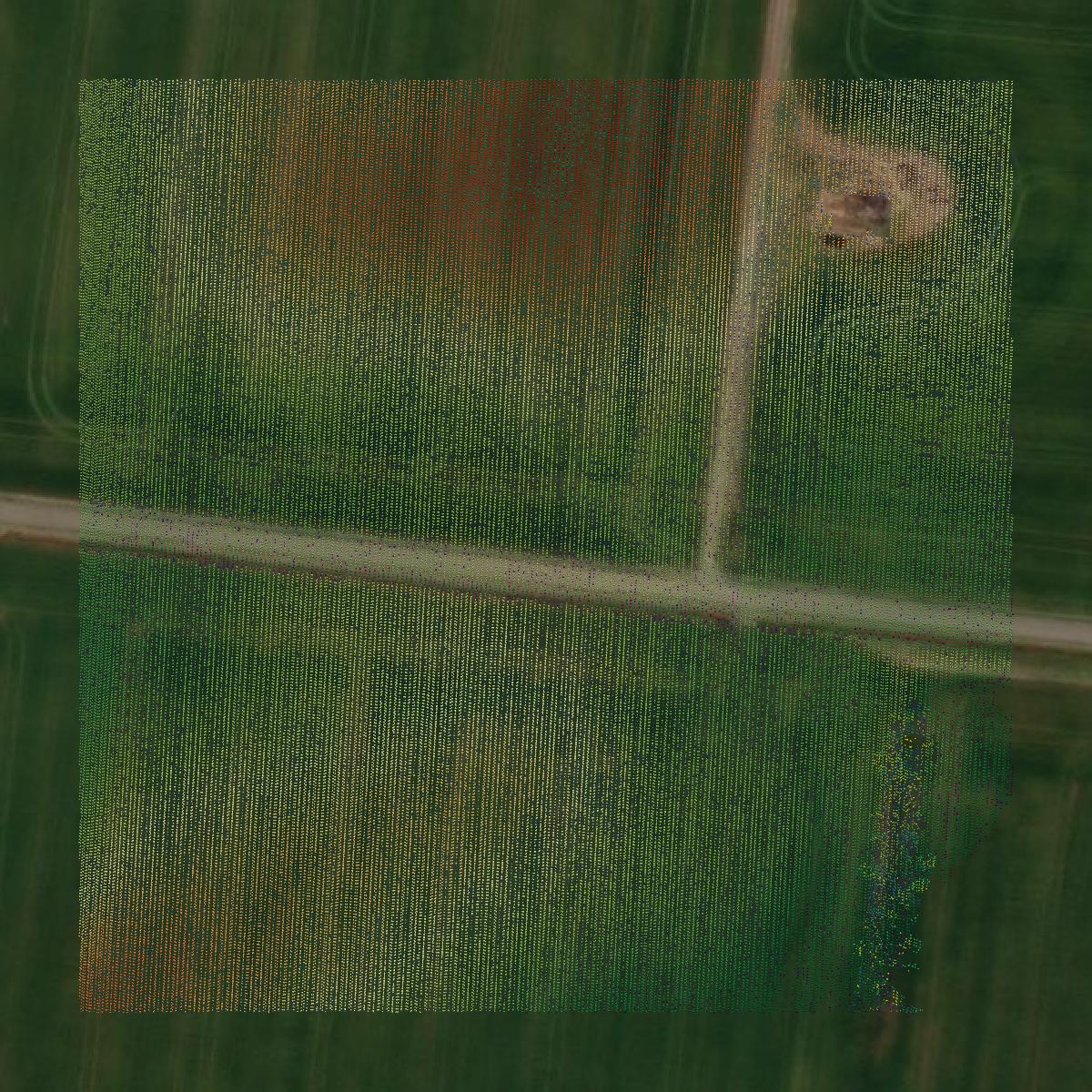 This image shows a LiDAR point cloud in Robertson County created using GIS data in Equator.