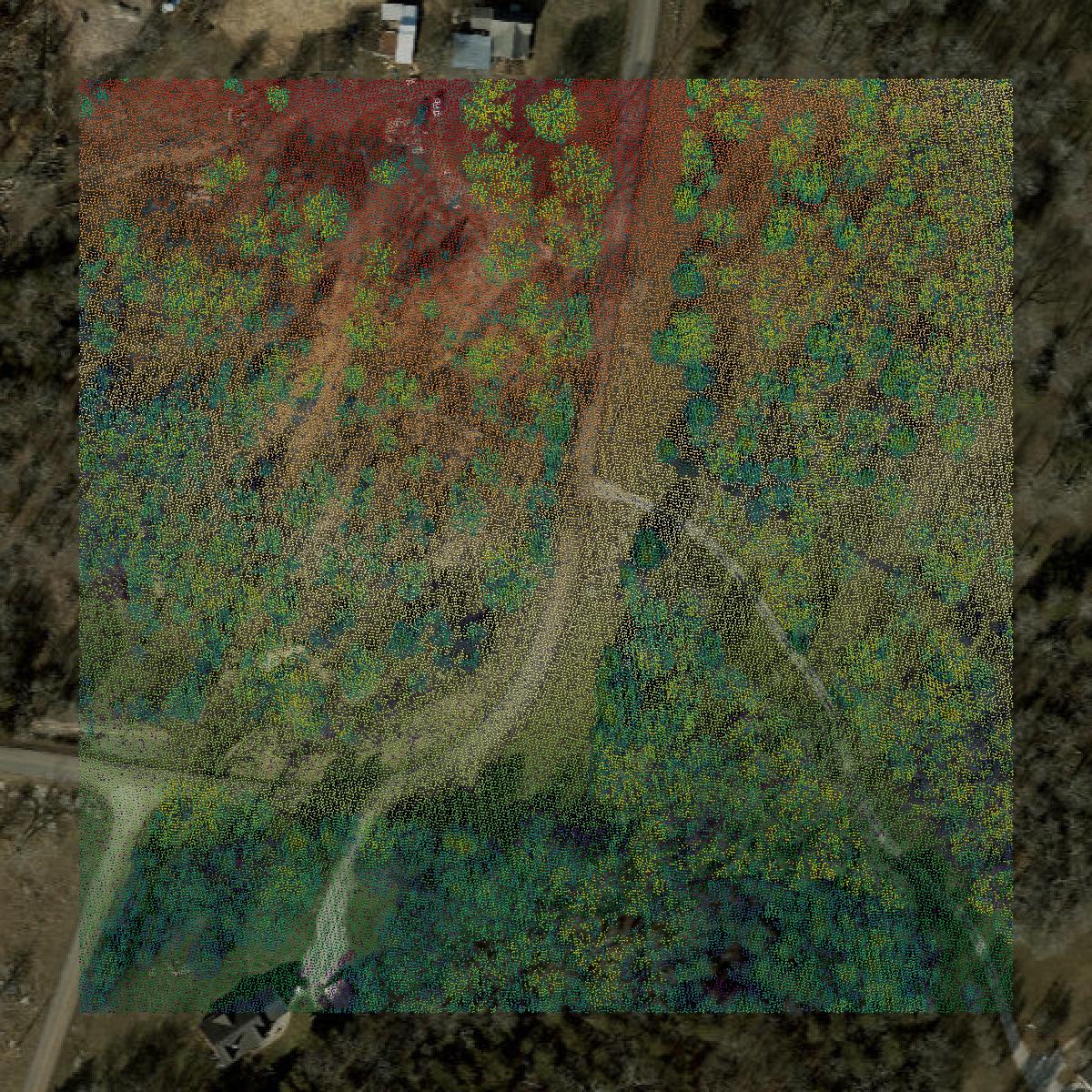 This image shows a LiDAR point cloud in Rutherford County created using GIS data in Equator.
