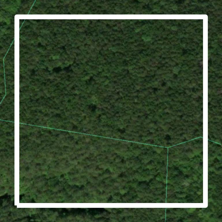 This image shows parcel and building data in Scott County created using GIS data in Equator.