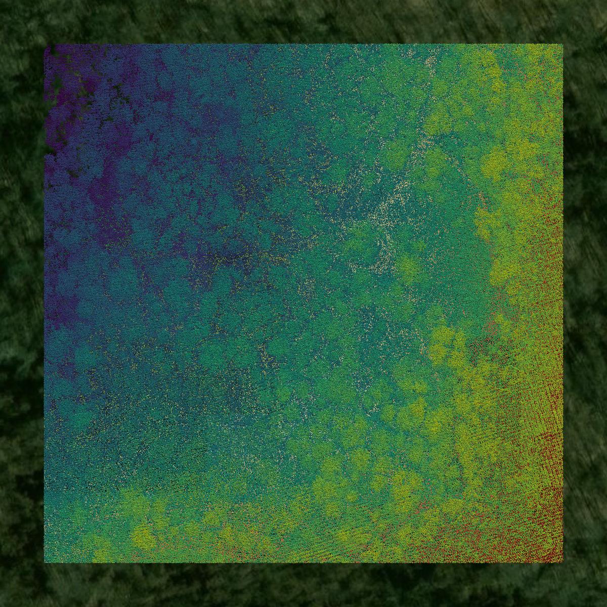 This image shows a LiDAR point cloud in Scott County created using GIS data in Equator.