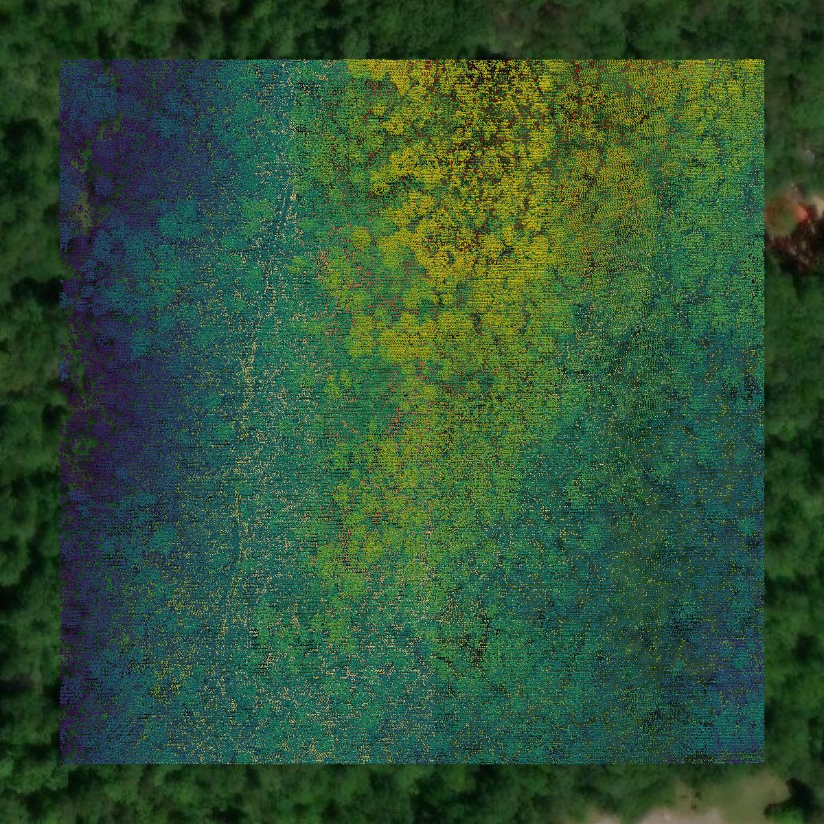 This image shows a LiDAR point cloud in Sequatchie County created using GIS data in Equator.