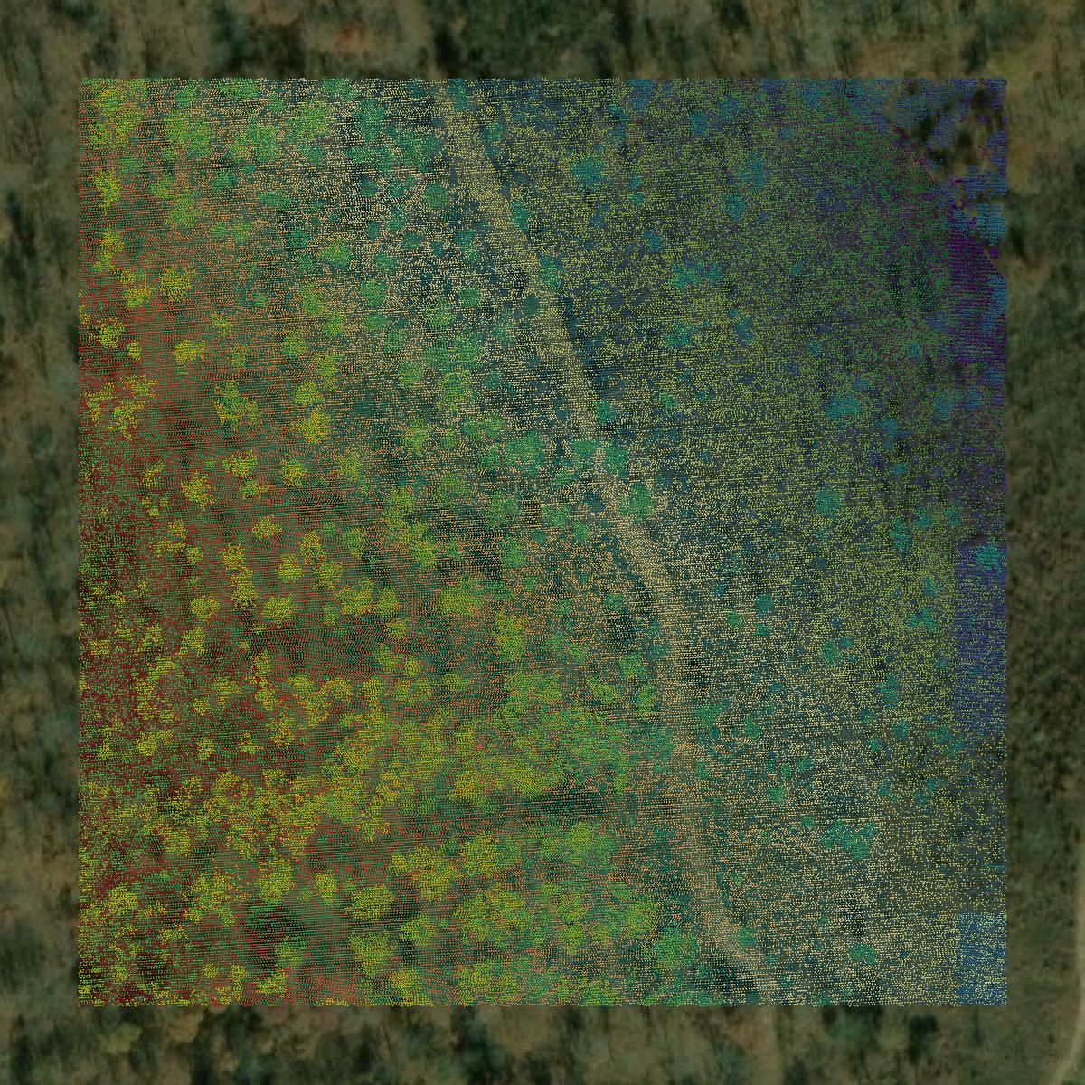 This image shows a LiDAR point cloud in Sequatchie County created using GIS data in Equator.