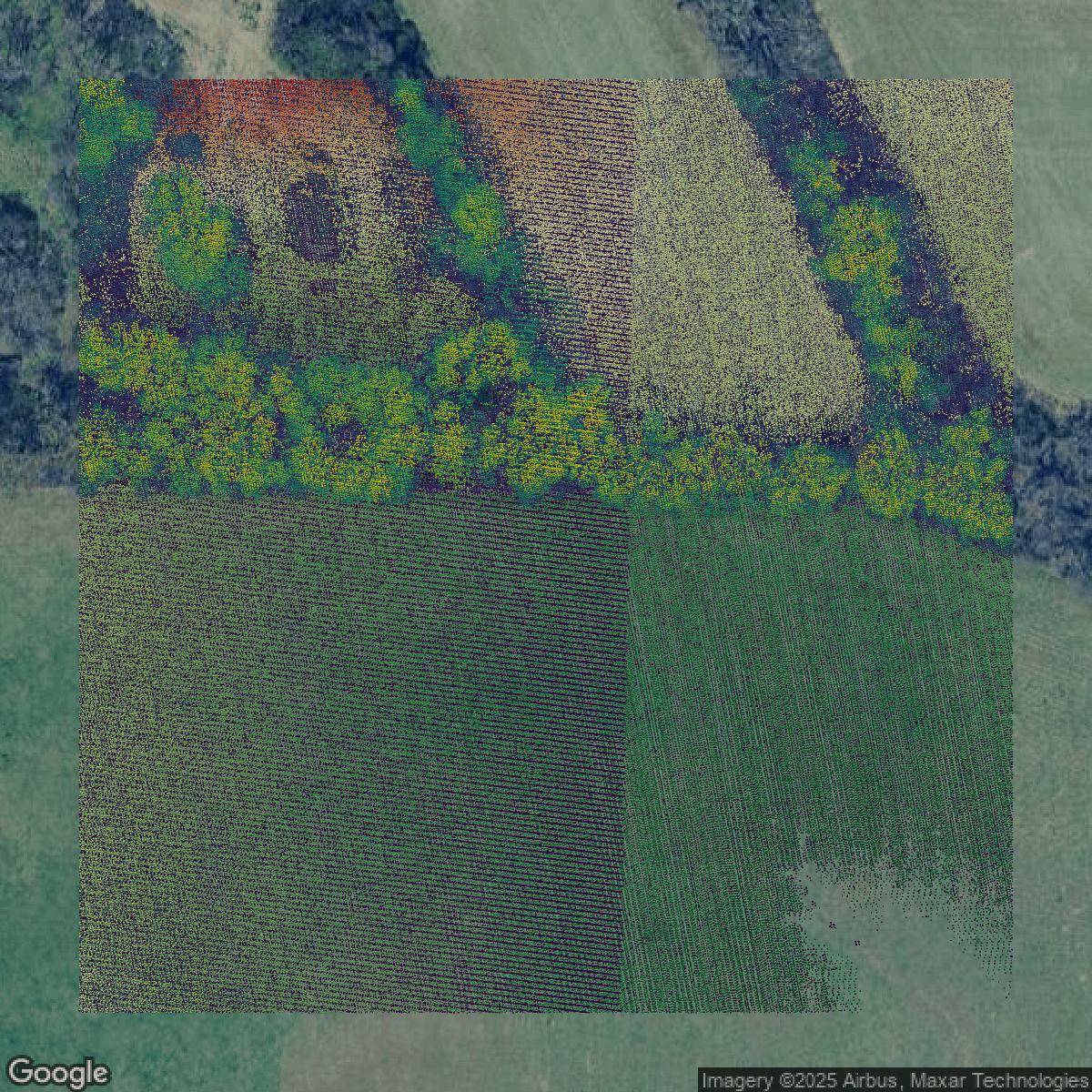 This image shows a LiDAR point cloud in Shelby County created using GIS data in Equator.