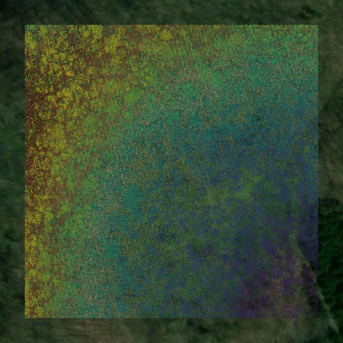 This image shows a LiDAR point cloud in Smith County created using GIS data in Equator.