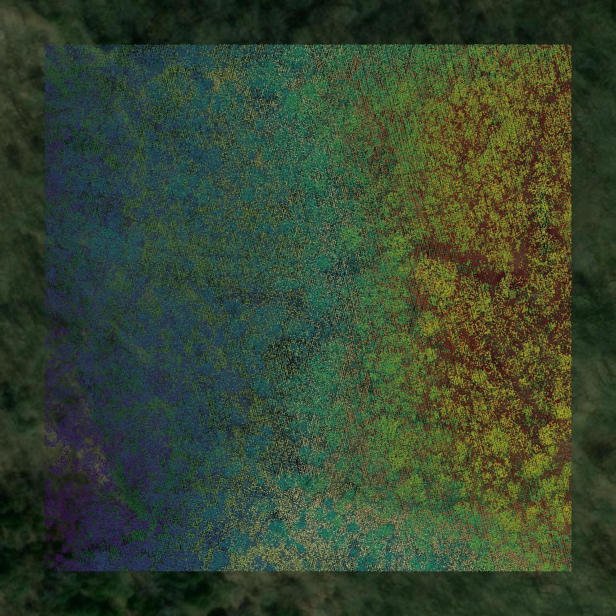 This image shows a LiDAR point cloud in Smith County created using GIS data in Equator.