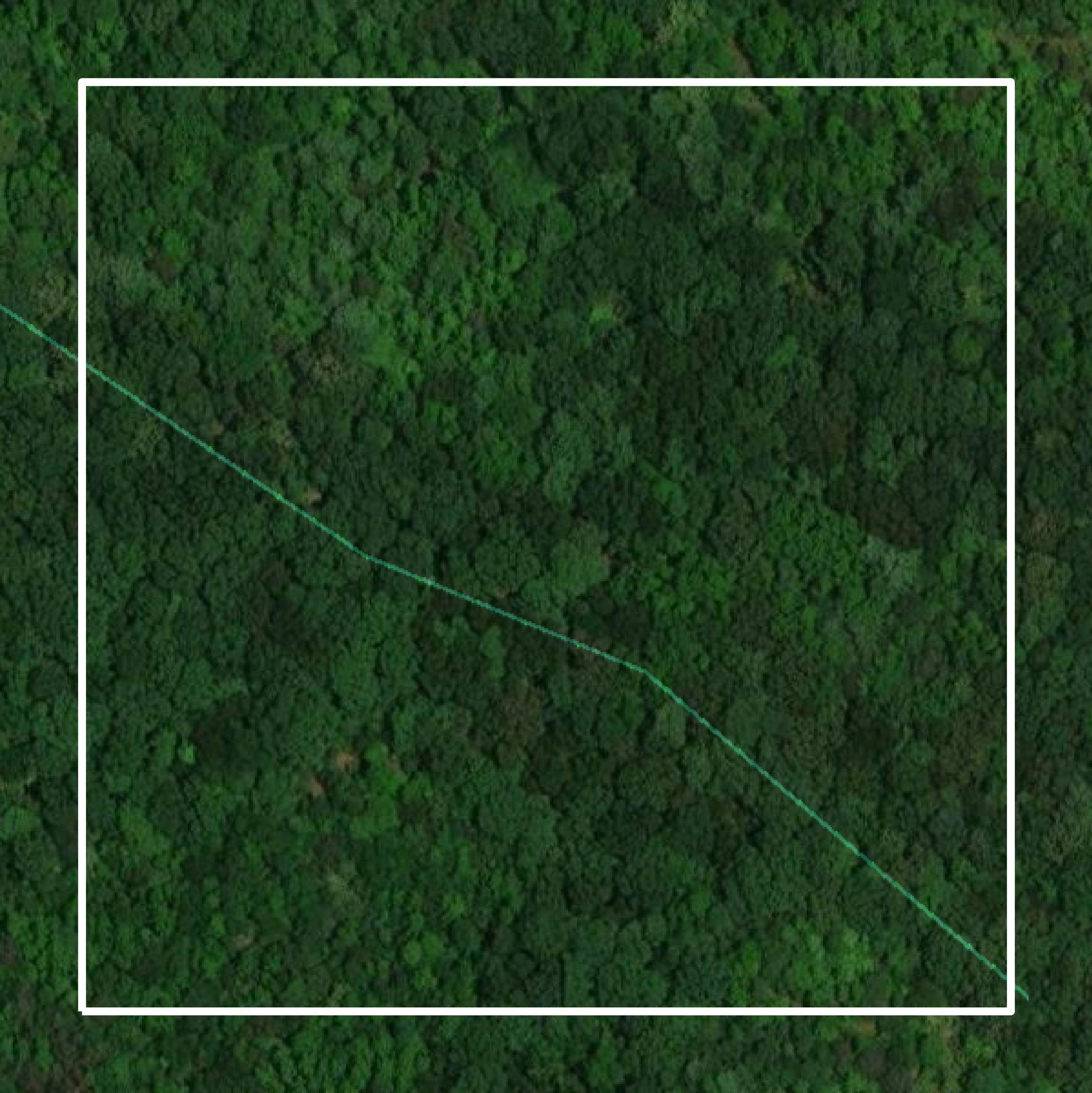 This image shows parcel and building data in Stewart County created using GIS data in Equator.