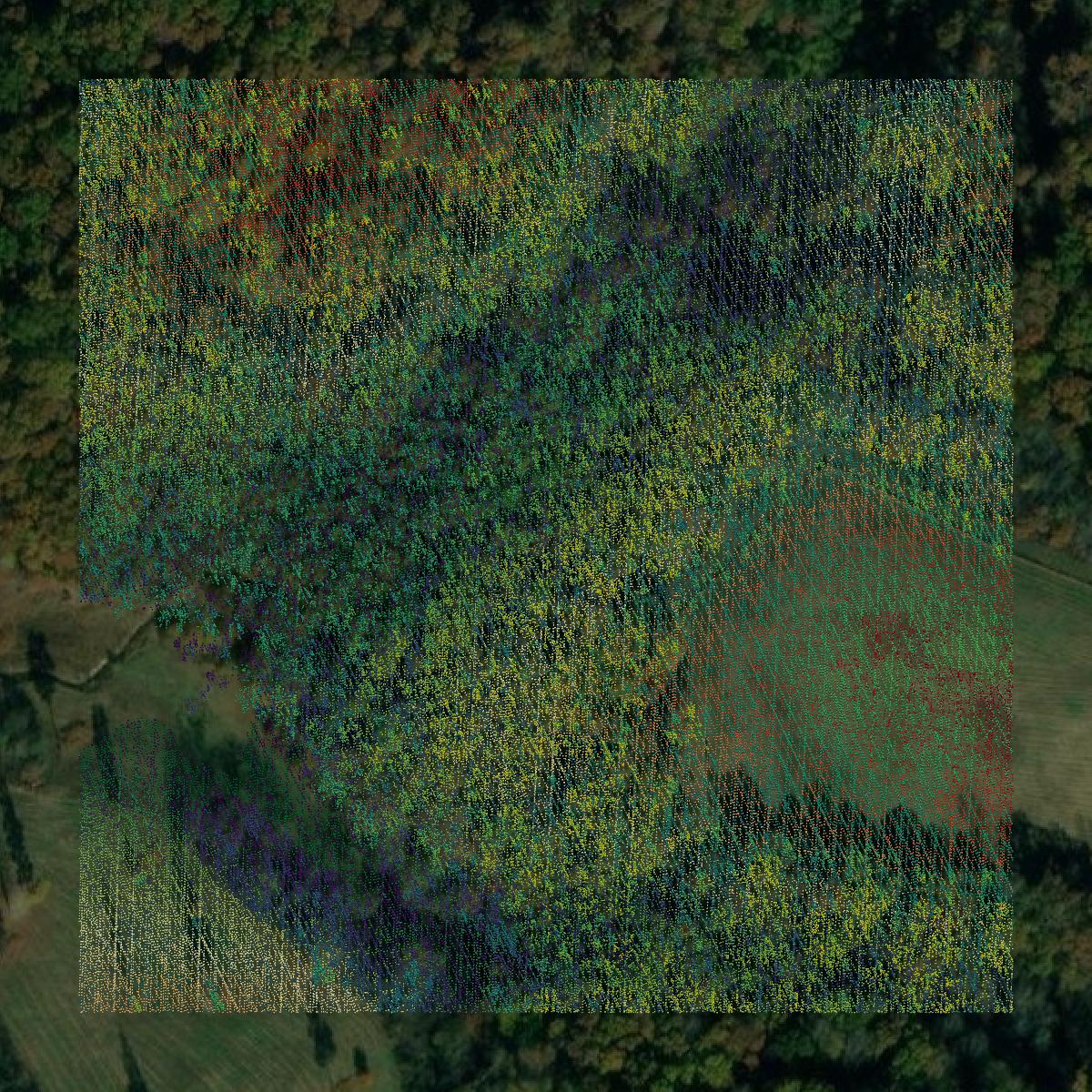 This image shows a LiDAR point cloud in Stewart County created using GIS data in Equator.