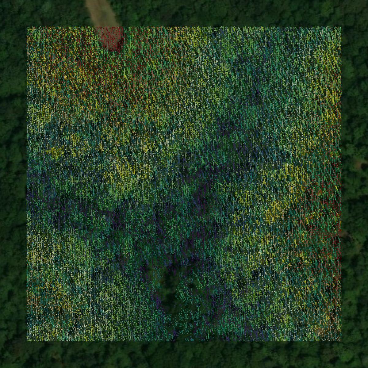 This image shows a LiDAR point cloud in Stewart County created using GIS data in Equator.