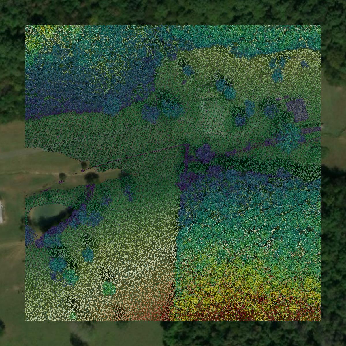 This image shows a LiDAR point cloud in Trousdale County created using GIS data in Equator.