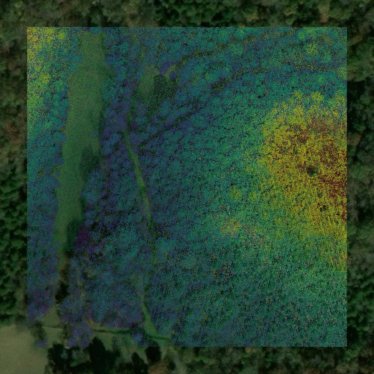 This image shows a LiDAR point cloud in Trousdale County created using GIS data in Equator.