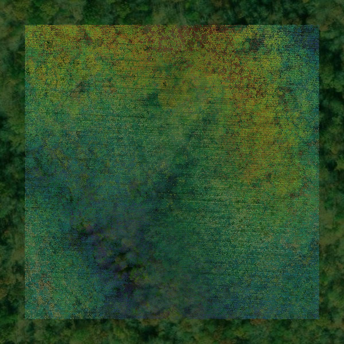 This image shows a LiDAR point cloud in Union County created using GIS data in Equator.