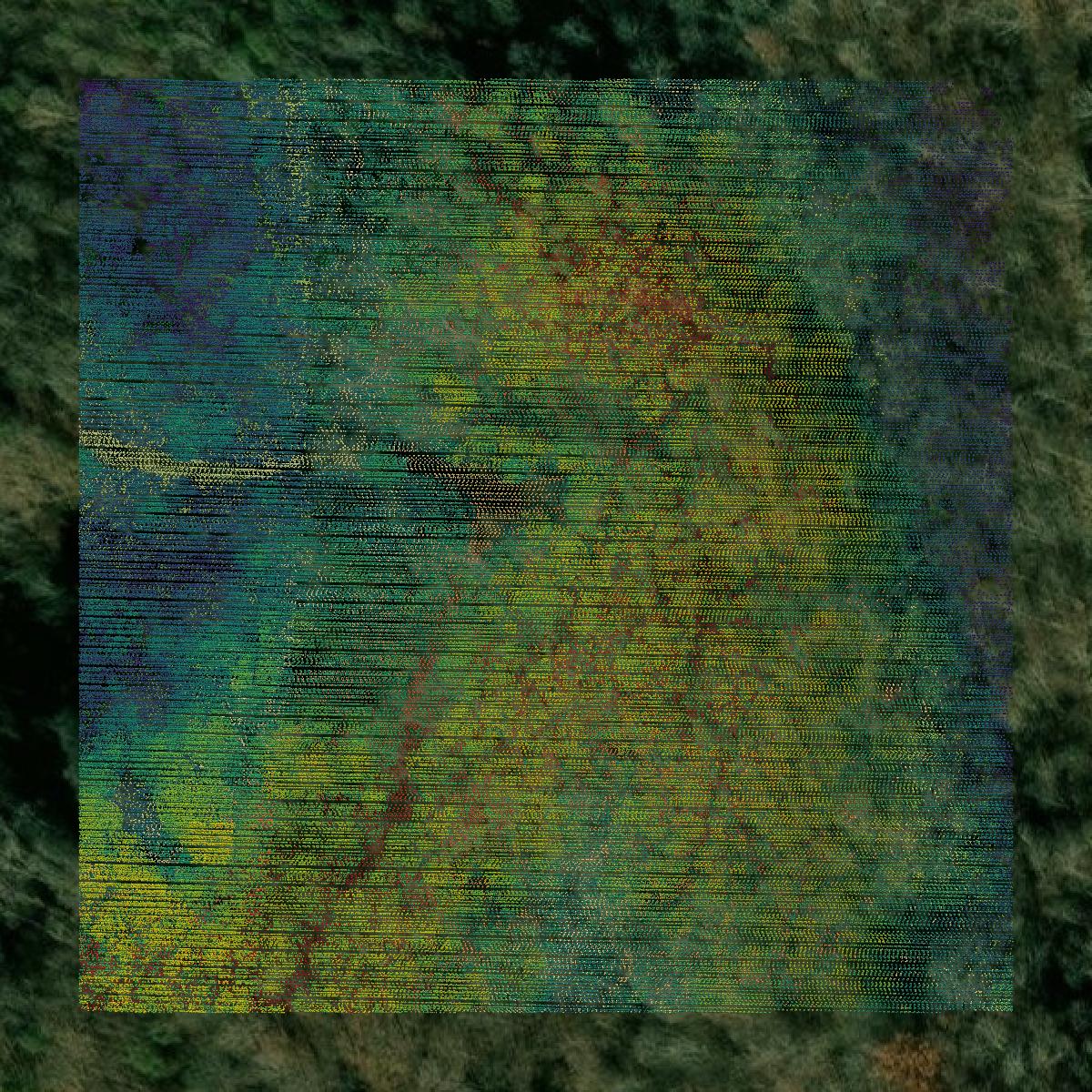 This image shows a LiDAR point cloud in Union County created using GIS data in Equator.