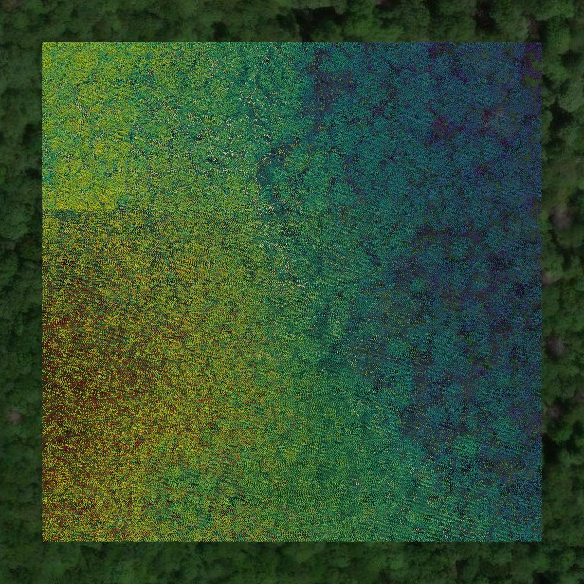 This image shows a LiDAR point cloud in Van Buren County created using GIS data in Equator.