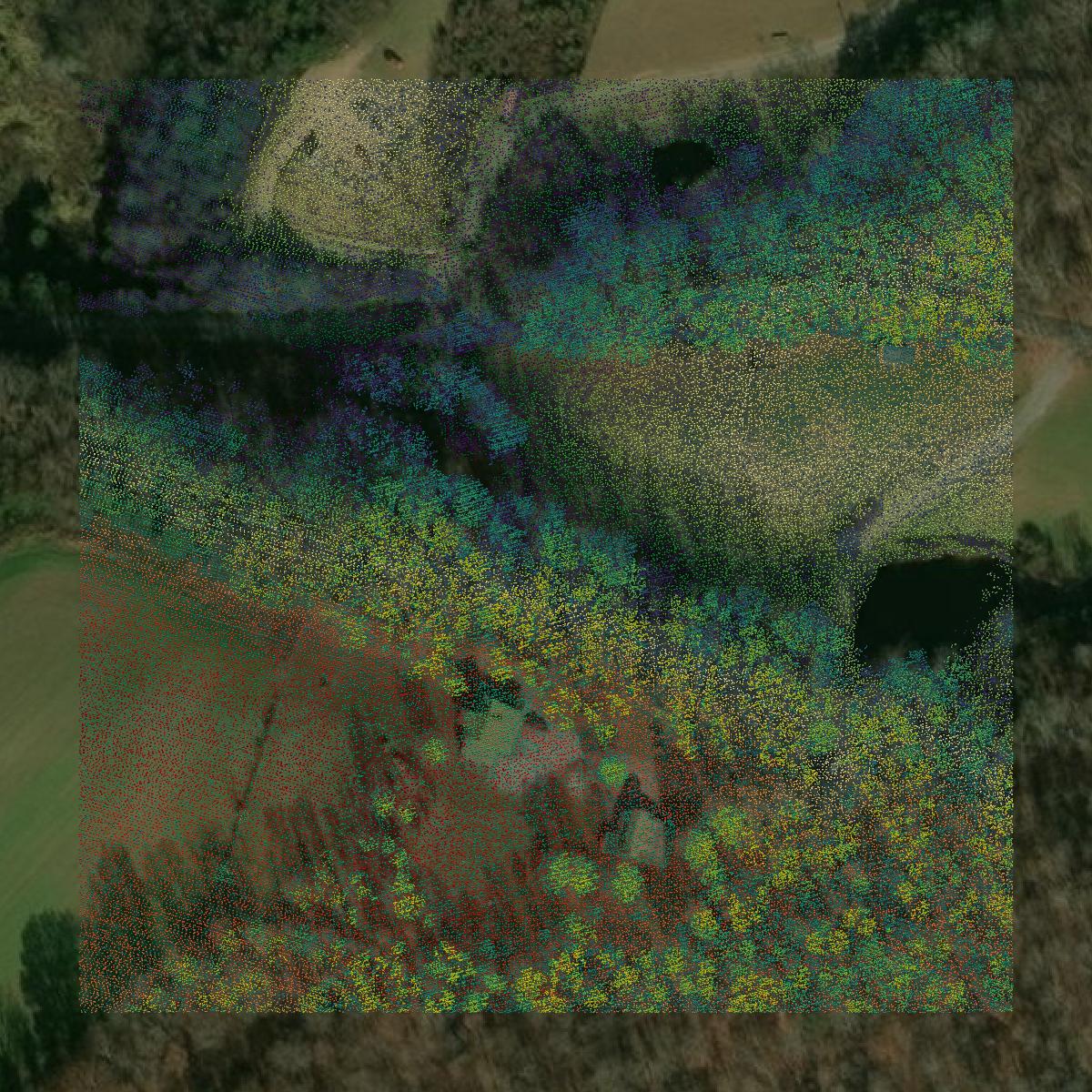 This image shows a LiDAR point cloud in Washington County created using GIS data in Equator.