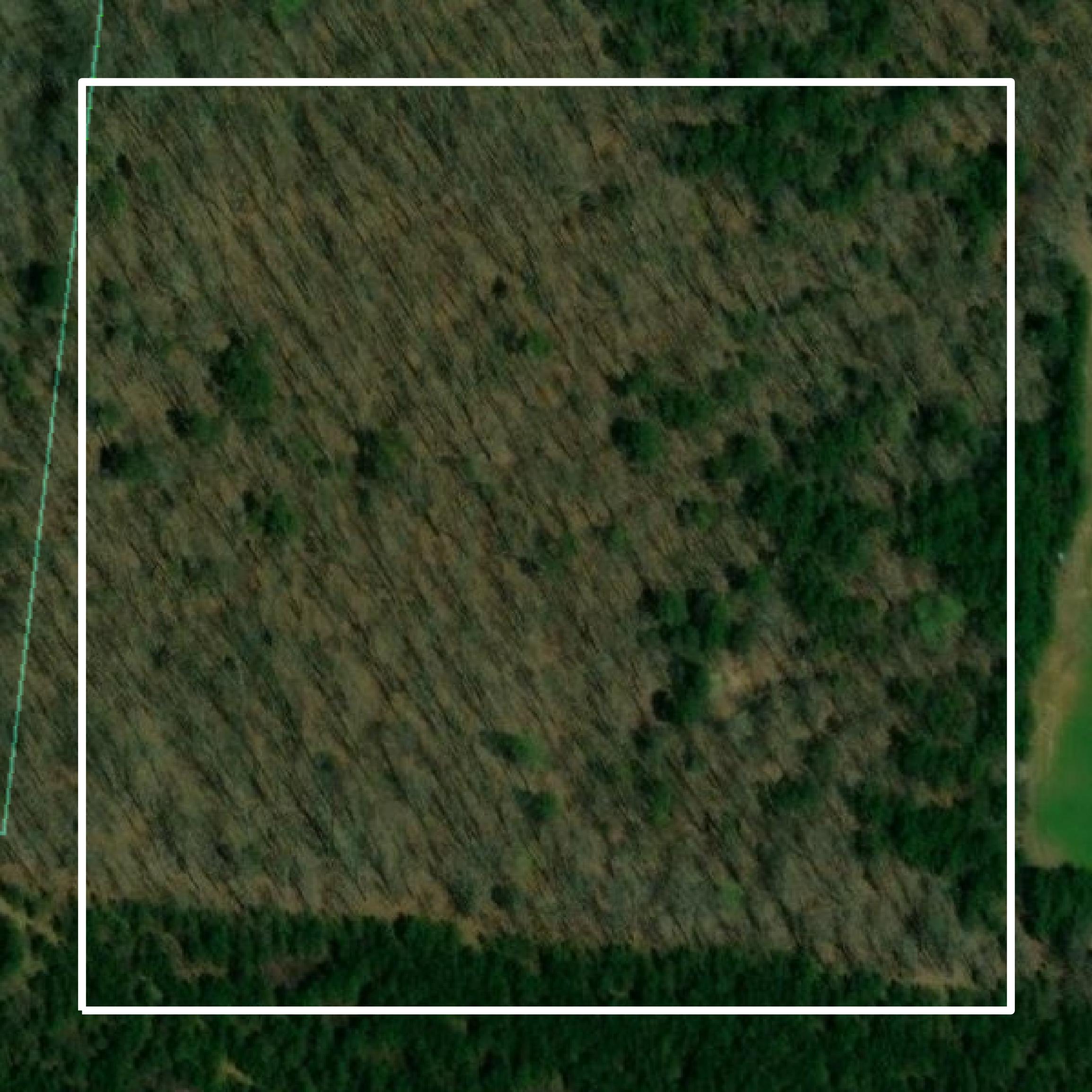 This image shows parcel and building data in Wayne County created using GIS data in Equator.
