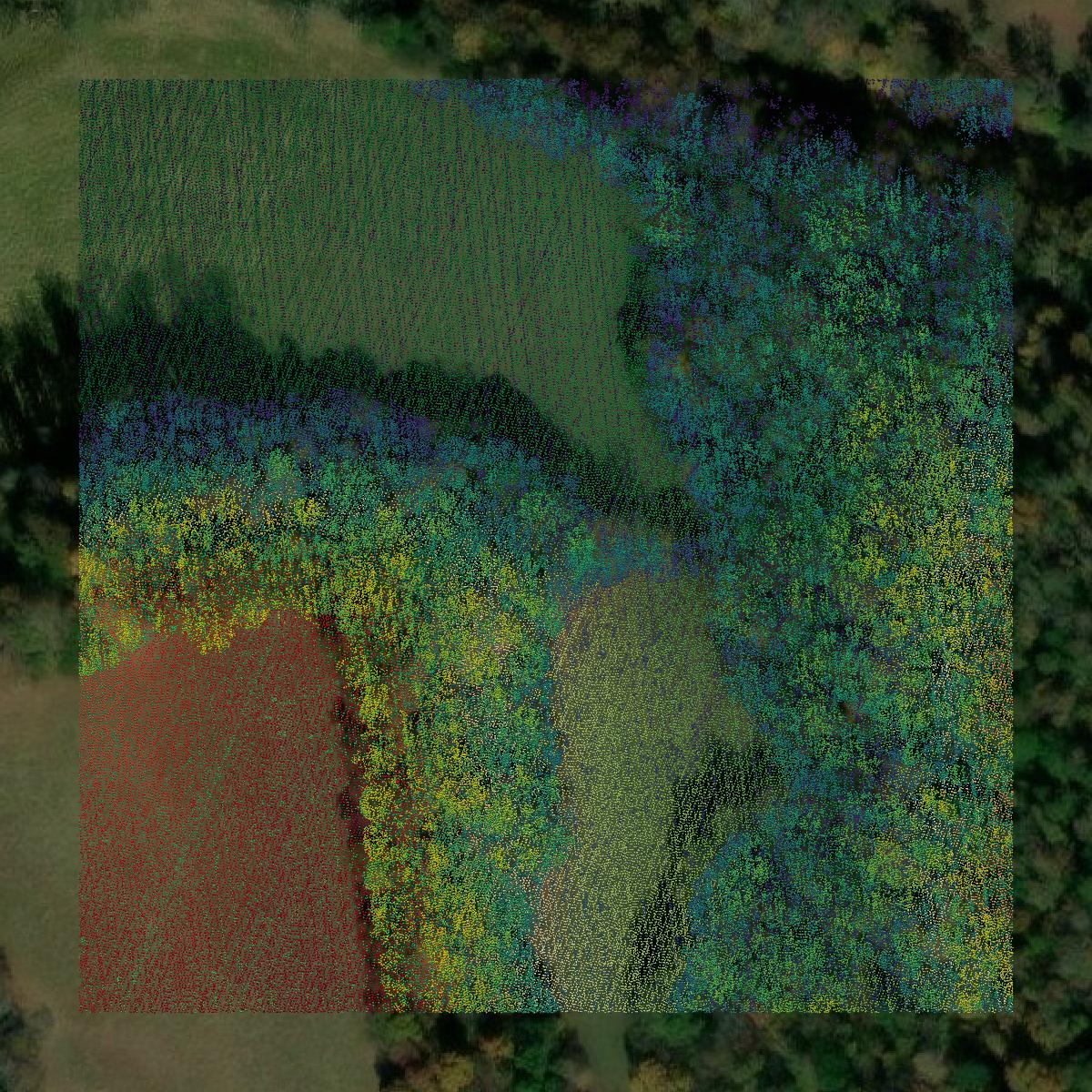 This image shows a LiDAR point cloud in Wayne County created using GIS data in Equator.
