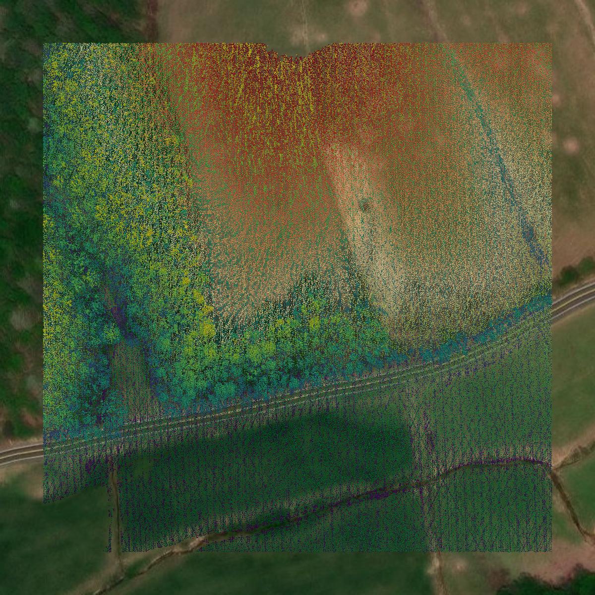 This image shows a LiDAR point cloud in Wayne County created using GIS data in Equator.
