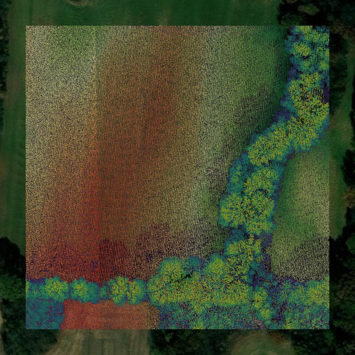 This image shows a LiDAR point cloud in Weakley County created using GIS data in Equator.