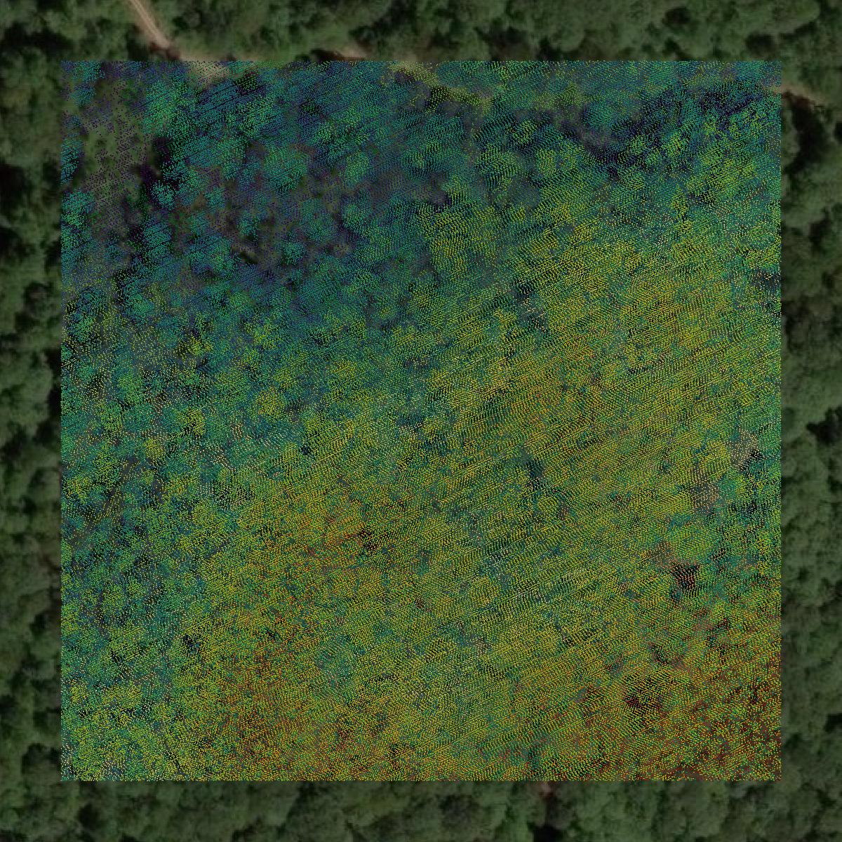 This image shows a LiDAR point cloud in White County created using GIS data in Equator.