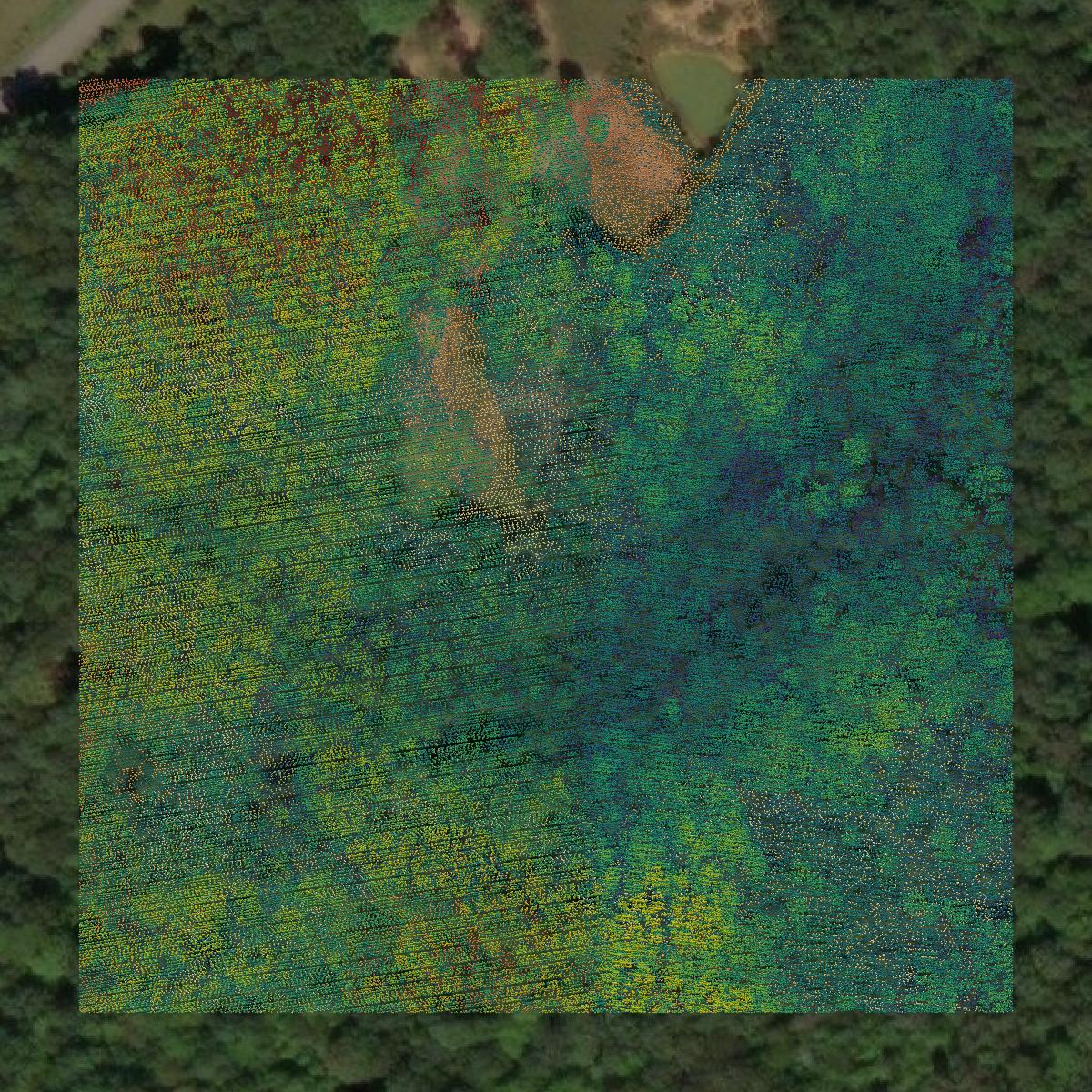 This image shows a LiDAR point cloud in White County created using GIS data in Equator.