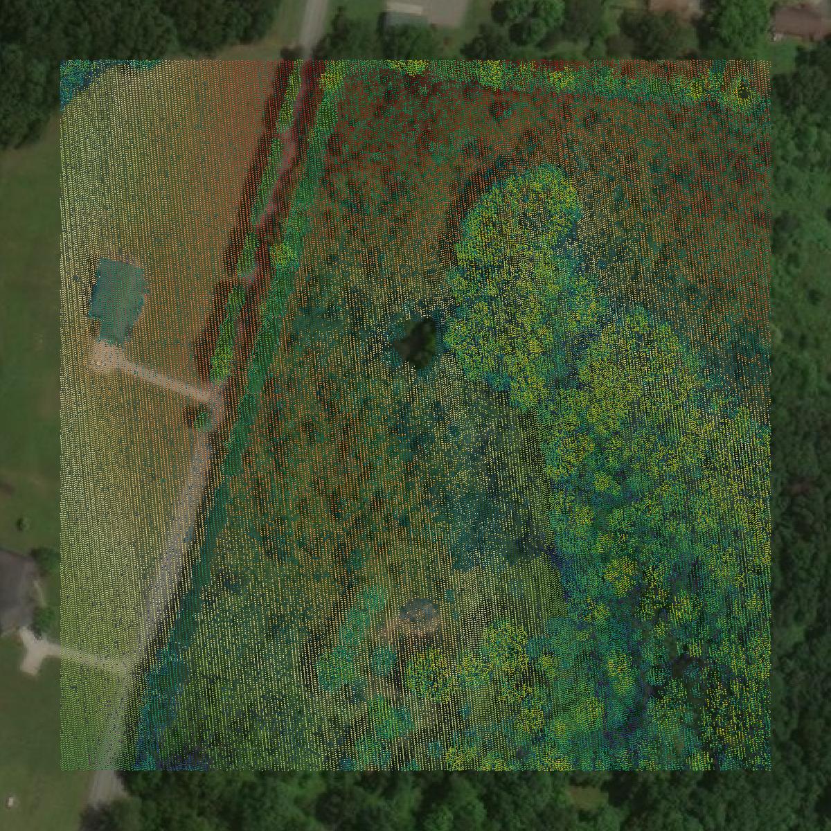 This image shows a LiDAR point cloud in Williamson County created using GIS data in Equator.
