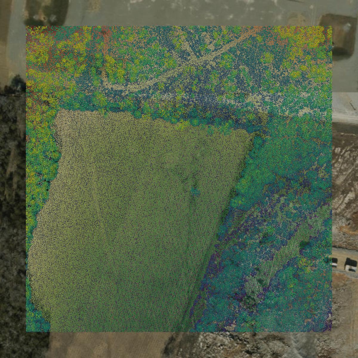 This image shows a LiDAR point cloud in Wilson County created using GIS data in Equator.
