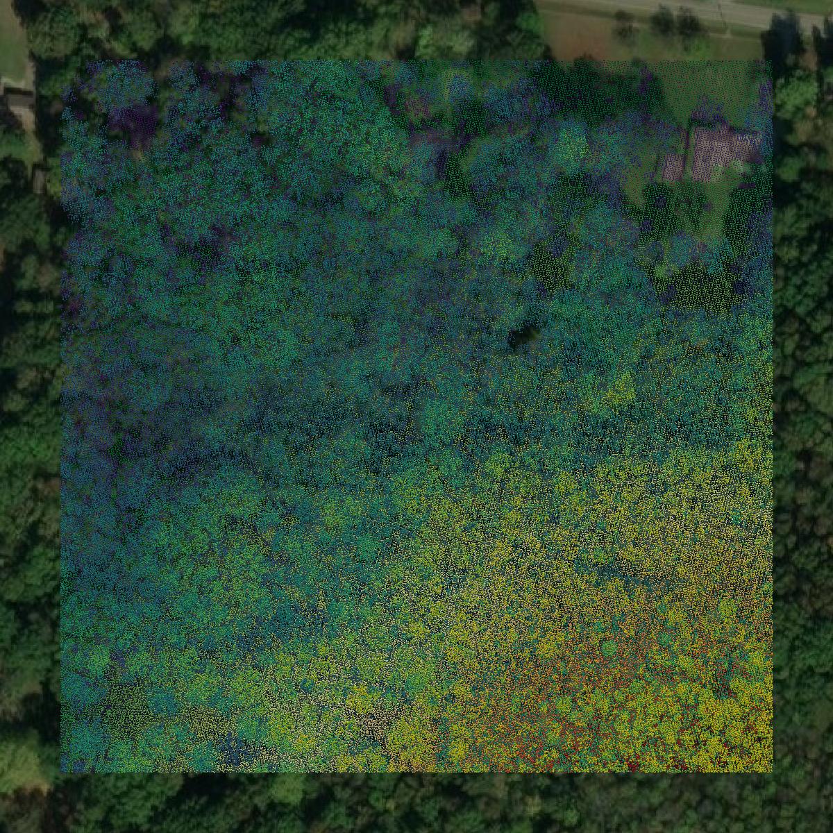 This image shows a LiDAR point cloud in Wilson County created using GIS data in Equator.