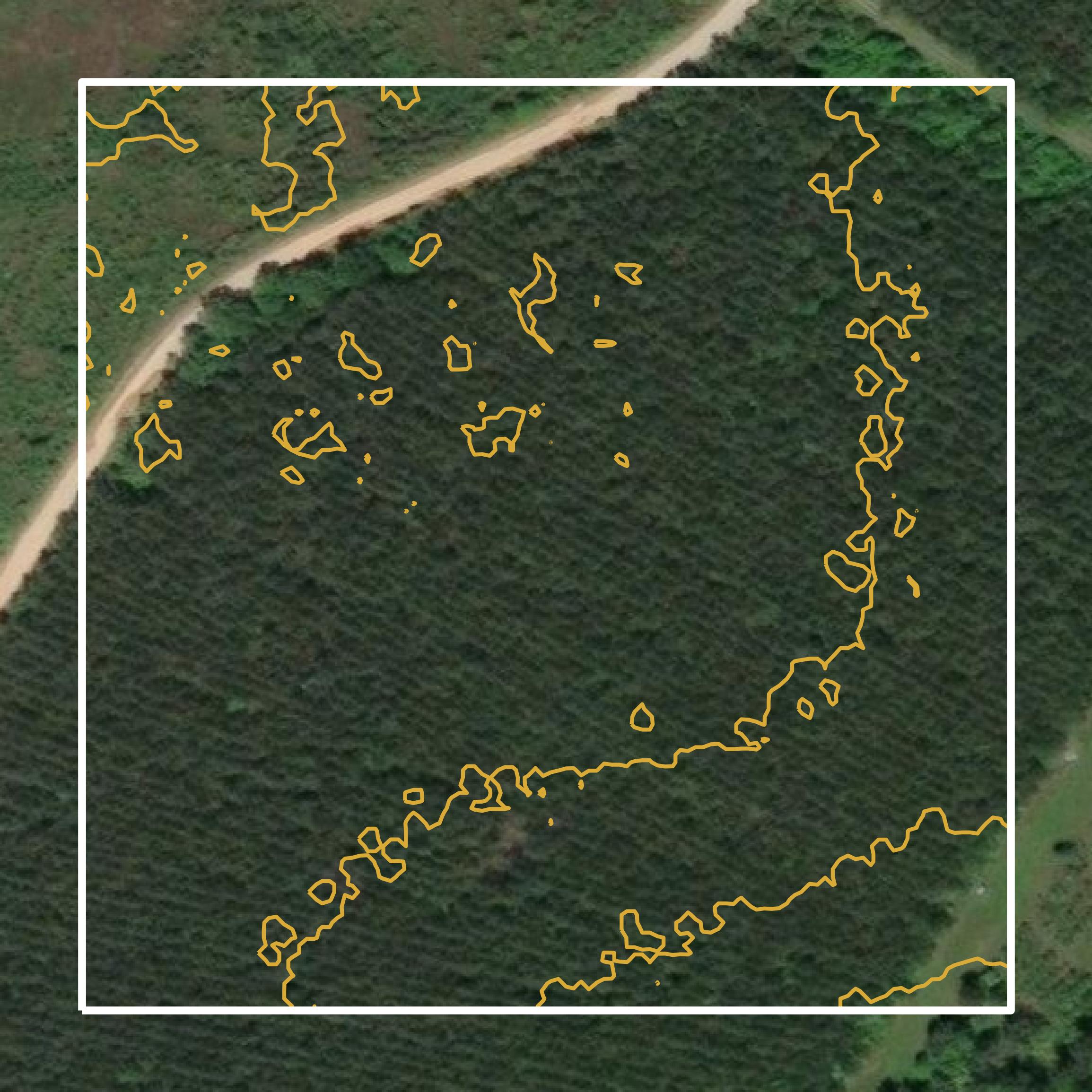 This image shows a contour map in Angelina County created using GIS data in Equator.