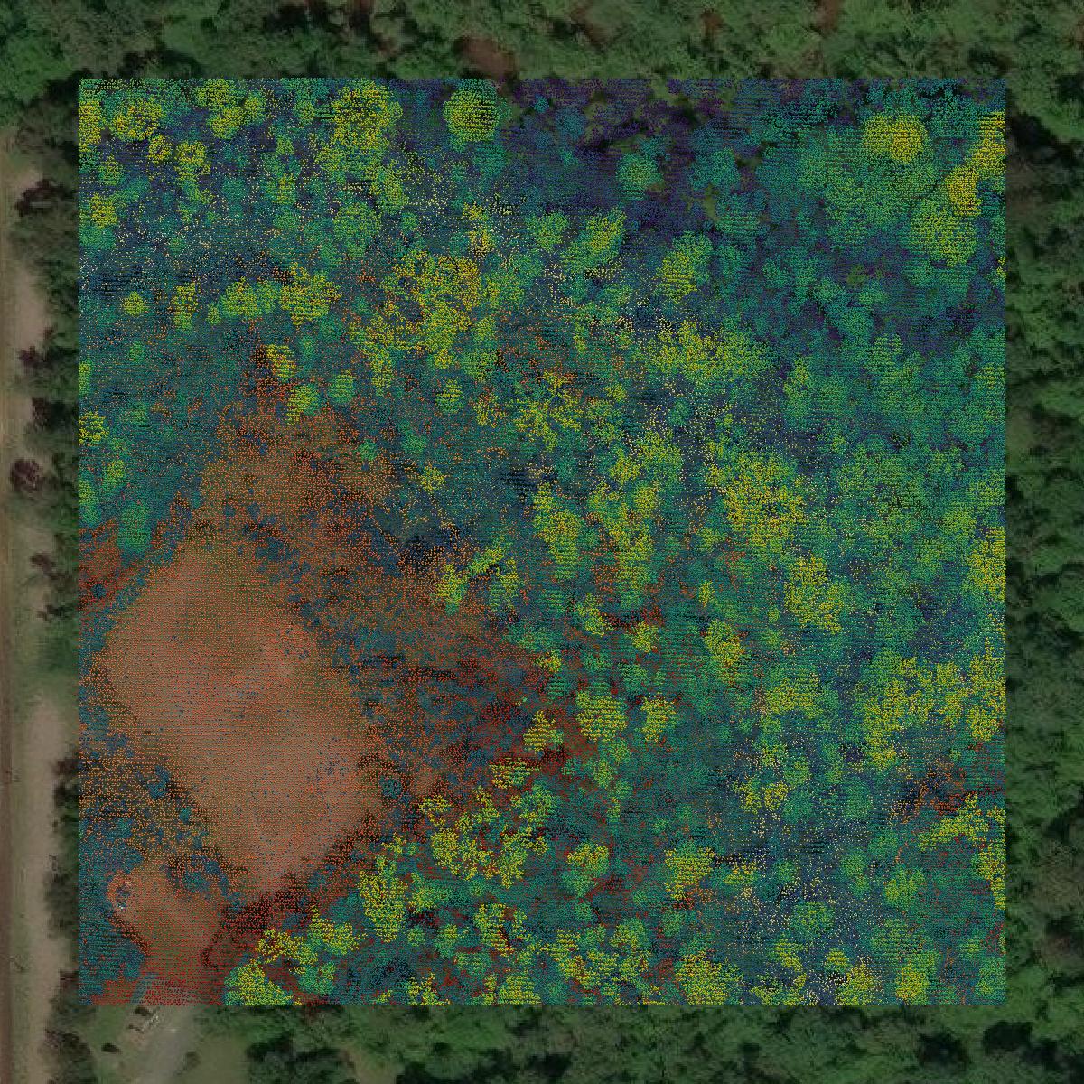 This image shows a LiDAR point cloud in Angelina County created using GIS data in Equator.
