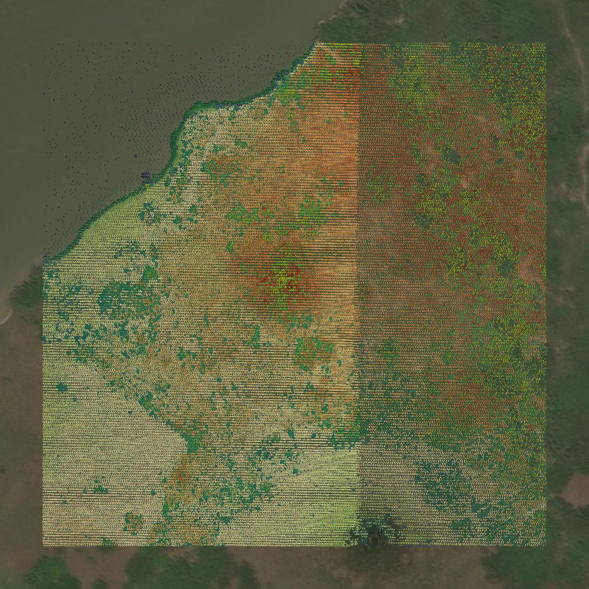 This image shows a LiDAR point cloud in Aransas County created using GIS data in Equator.
