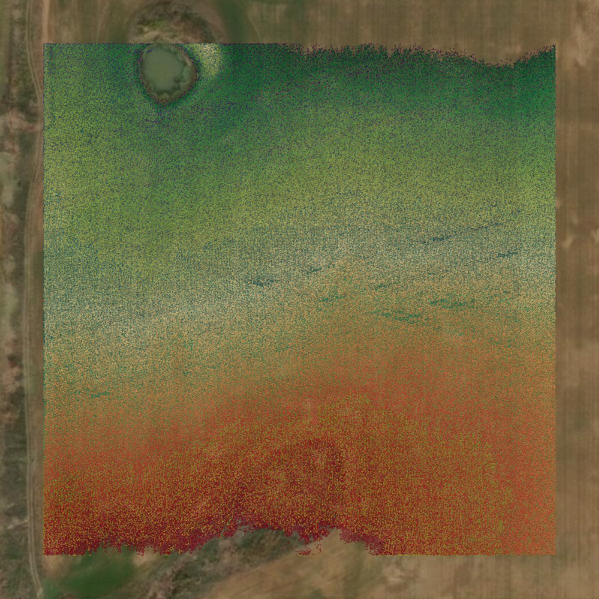This image shows a LiDAR point cloud in Archer County created using GIS data in Equator.