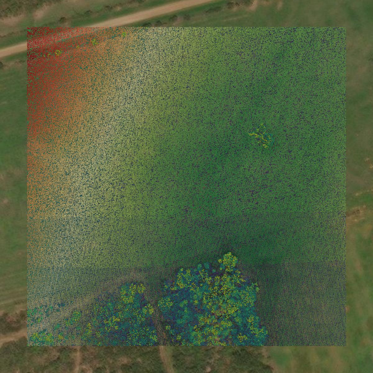 This image shows a LiDAR point cloud in Atascosa County created using GIS data in Equator.