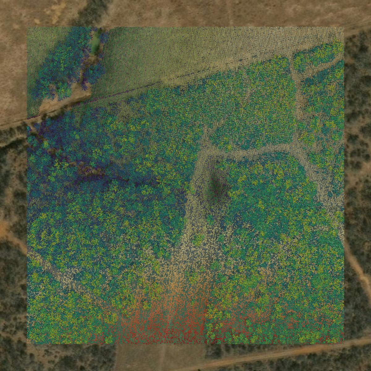 This image shows a LiDAR point cloud in Atascosa County created using GIS data in Equator.