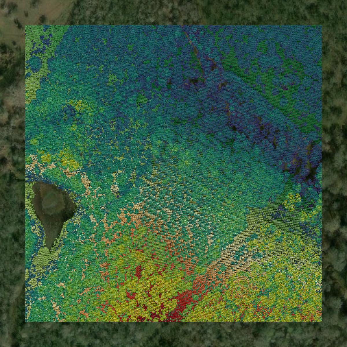 This image shows a LiDAR point cloud in Austin County created using GIS data in Equator.