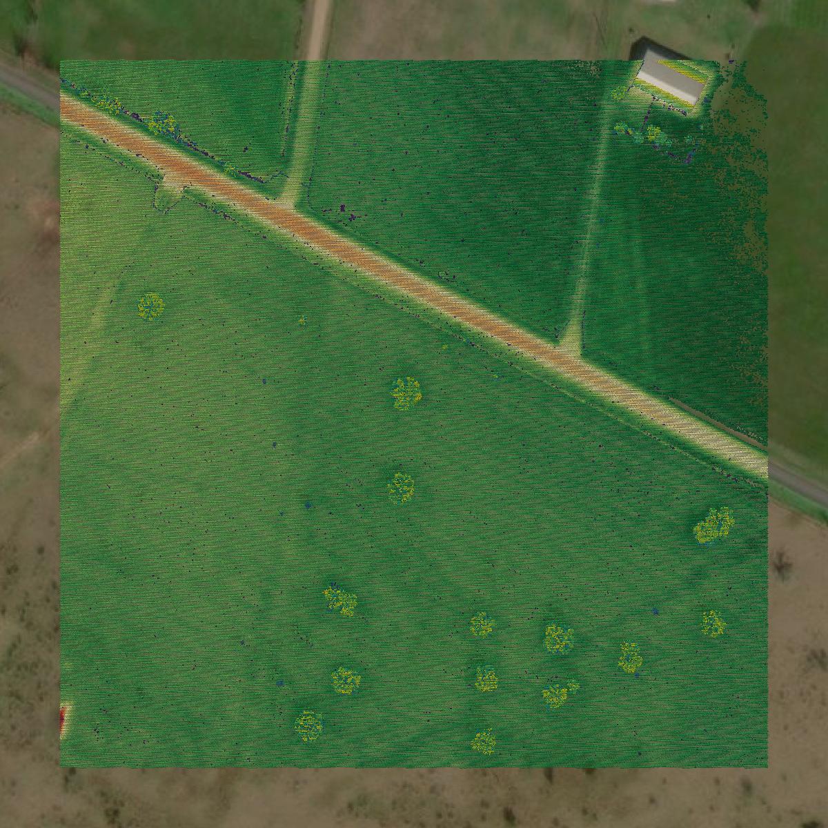 This image shows a LiDAR point cloud in Austin County created using GIS data in Equator.