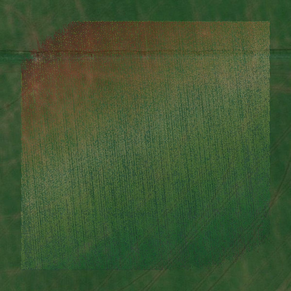 This image shows a LiDAR point cloud in Bailey County created using GIS data in Equator.