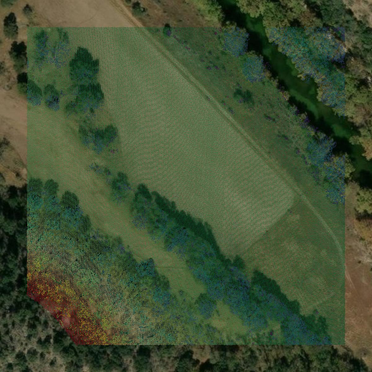 This image shows a LiDAR point cloud in Bandera County created using GIS data in Equator.