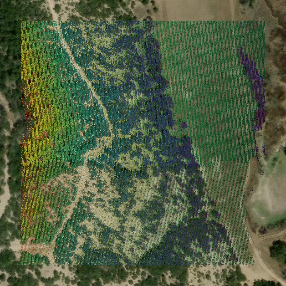 This image shows a LiDAR point cloud in Bandera County created using GIS data in Equator.