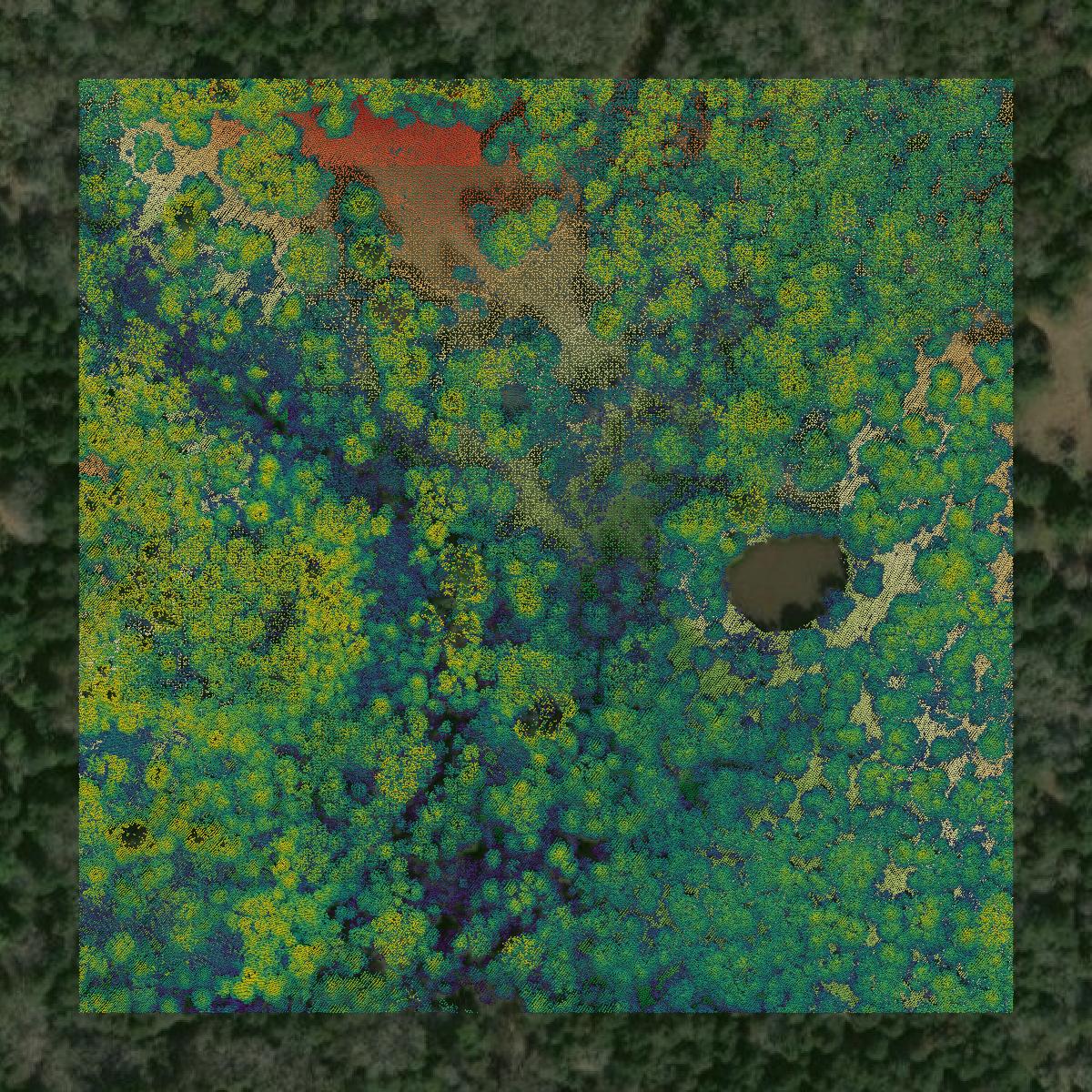 This image shows a LiDAR point cloud in Bastrop County created using GIS data in Equator.